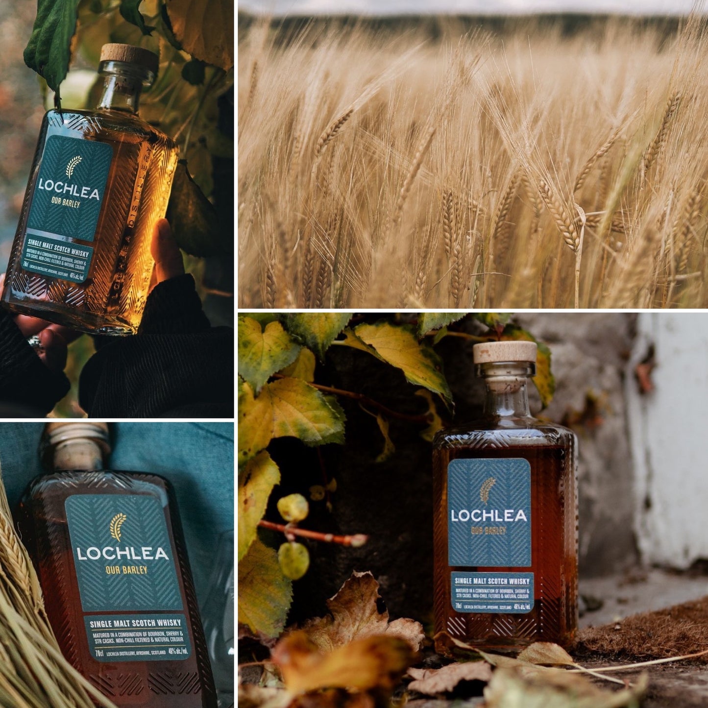 Lochlea Our Barley